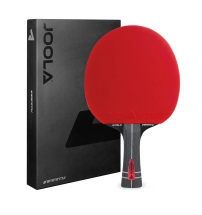 Paleta tenis Joola Infinity Z Carbon